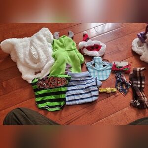 Pet Costume and Clothing Set